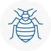 Bed Bug Extermination In Wombwell