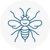Wombwell Hornet Nest Removals