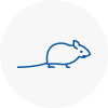 Mice Exterminators In Wombwell