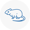 Rat Control Wombwell