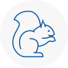Wombwell Rodent Removals