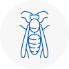 Wombwell Wasp Nest Removal